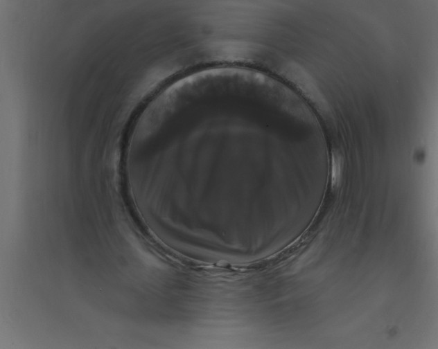 X0000094350627200711241915