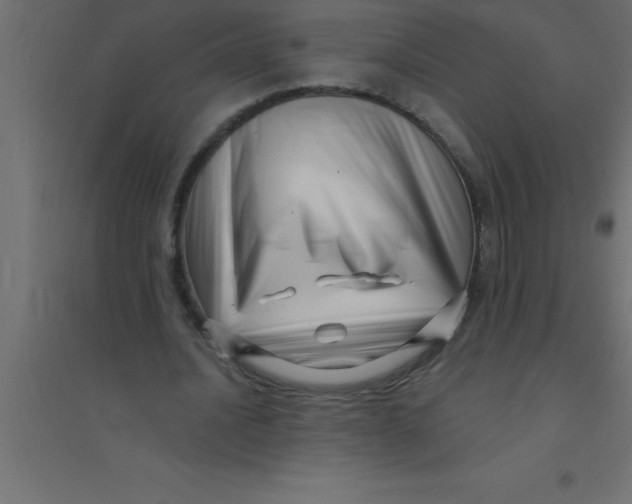 X0000094350628200711241915