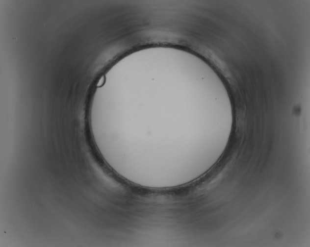 X0000094350629200711241915