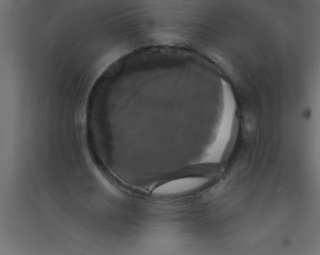 X0000094350630200711241915