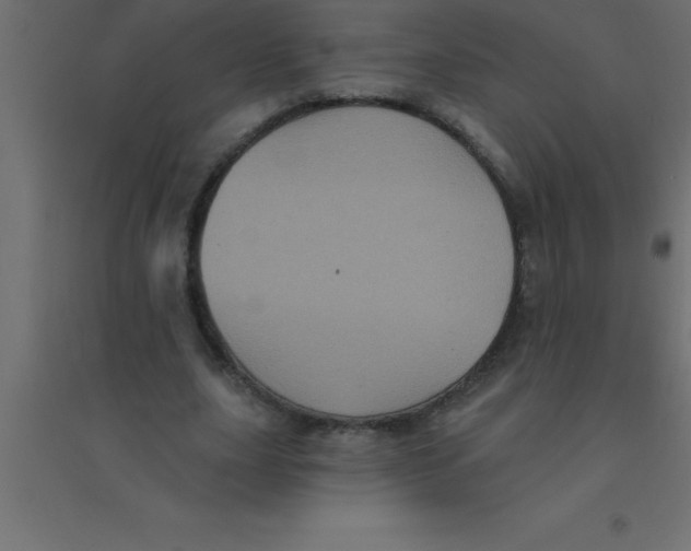 X0000094350631200711241915