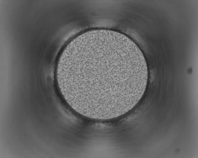 X0000094350632200711241915