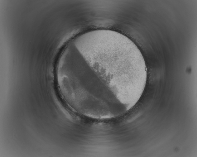 X0000094350634200711241915