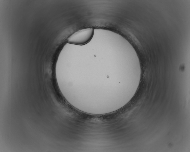 X0000094350635200711241915