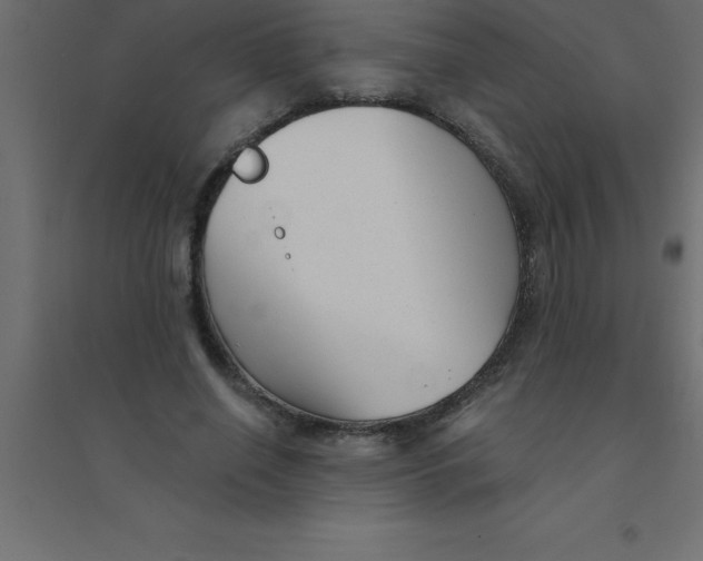 X0000094350638200711241915