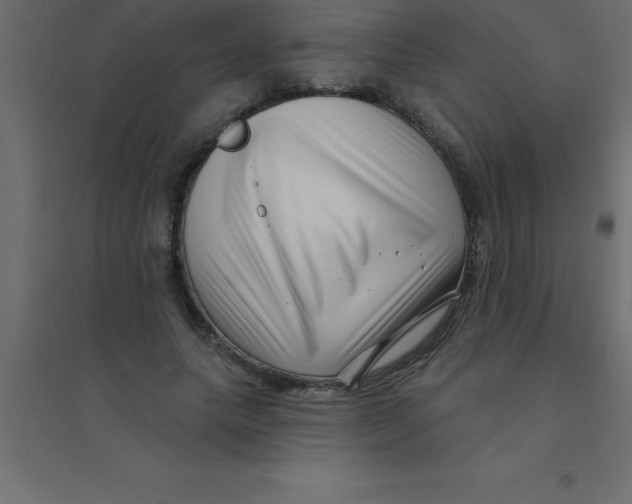 X0000094350639200711241915