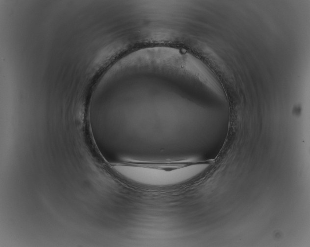 X0000094350640200711241915