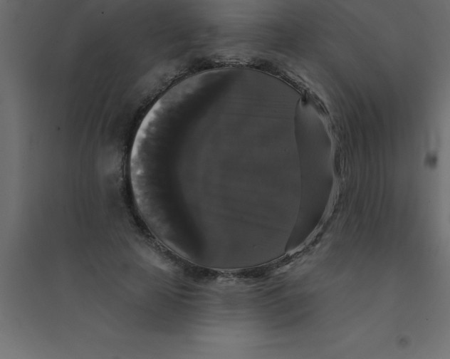 X0000094350641200711241915