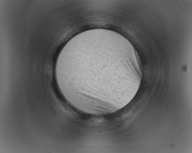 X0000094350642200711241915