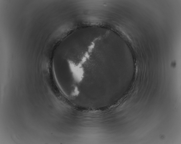 X0000094350643200711241915