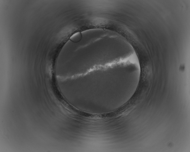 X0000094350644200711241915