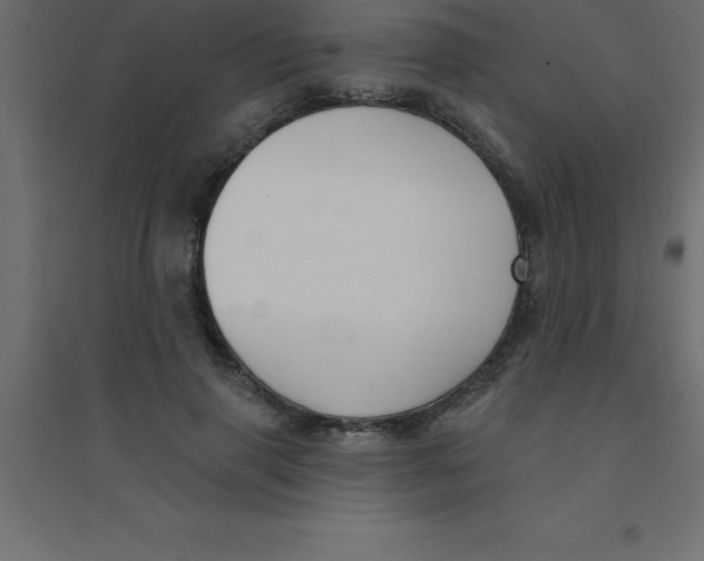 X0000094350645200711241915