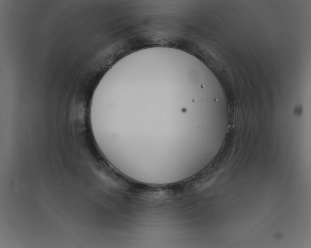 X0000094350646200711241915