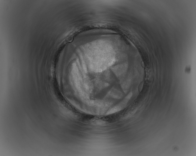 X0000094350648200711241915