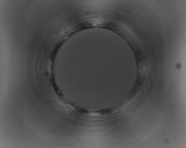 X0000094350650200711241915