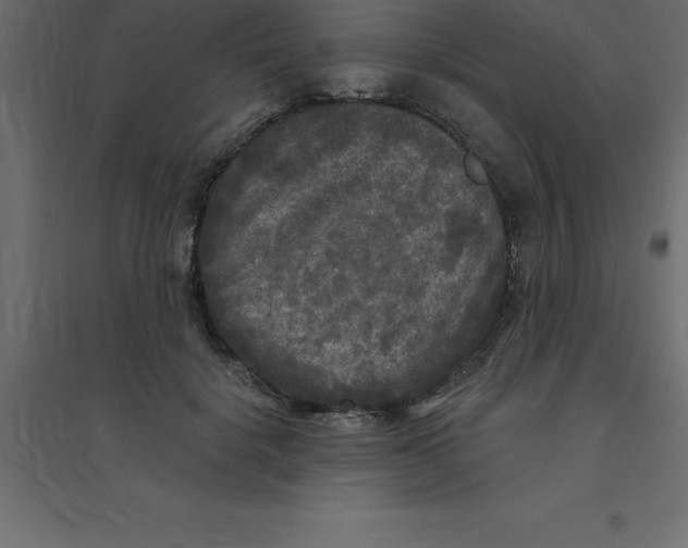 X0000094350652200711241915