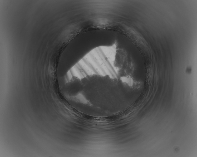 X0000094350653200711241915