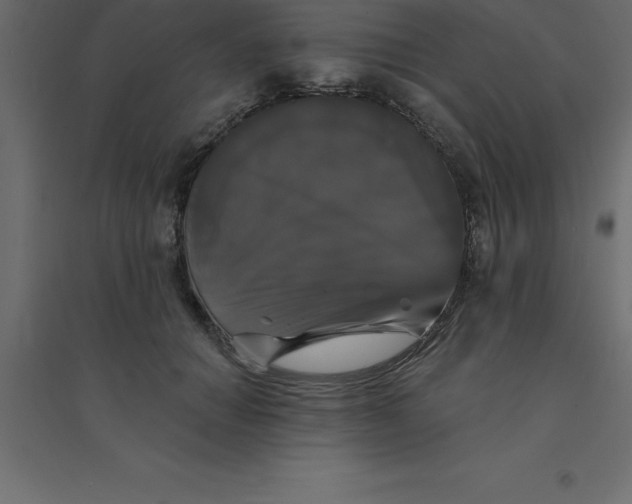 X0000094350654200711241915