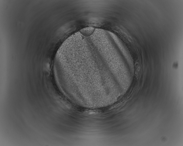 X0000094350655200711241915