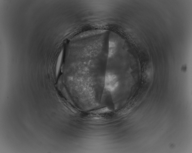 X0000094350658200711241915