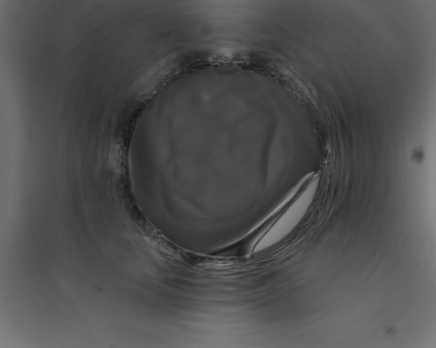 X0000094350659200711241915