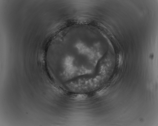 X0000094350663200711241916