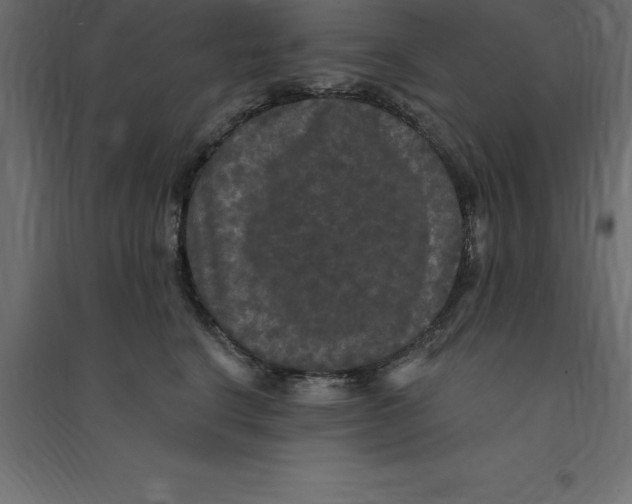 X0000094350664200711241916