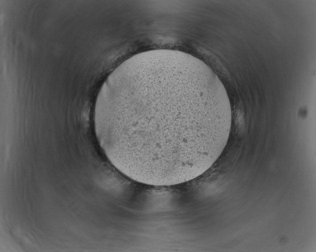 X0000094350668200711241916