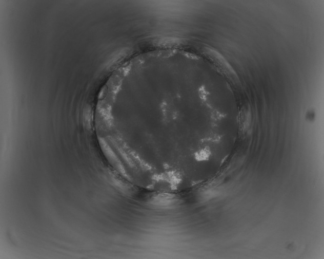 X0000094350669200711241916