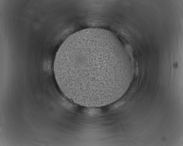 X0000094350670200711241916