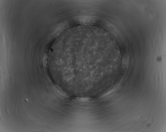 X0000094350671200711241916