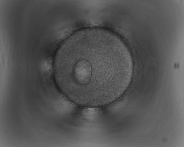 X0000094350672200711241916