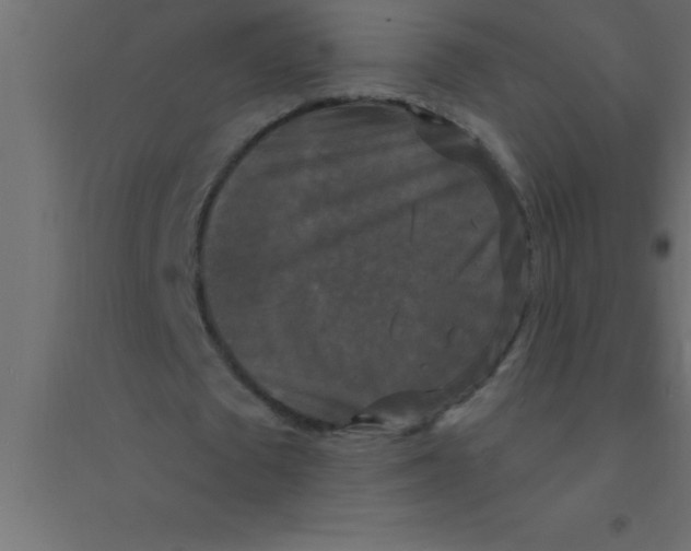 X0000094350673200711241915