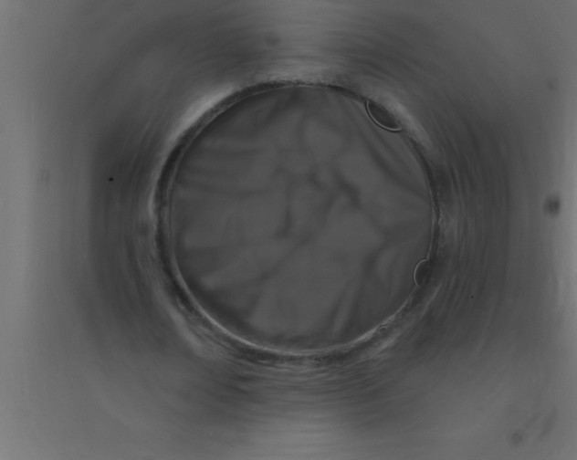 X0000094350674200711241915