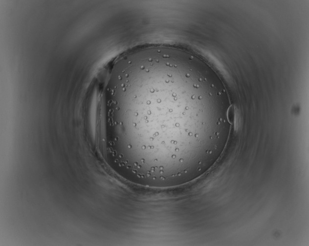 X0000094350675200711241915