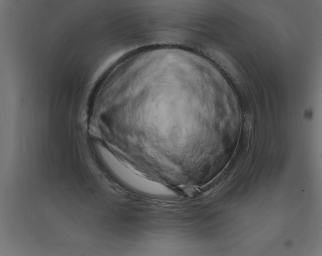 X0000094350676200711241915