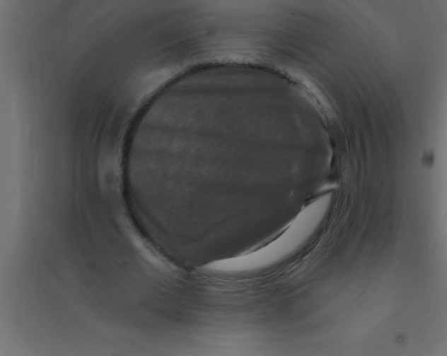 X0000094350677200711241915