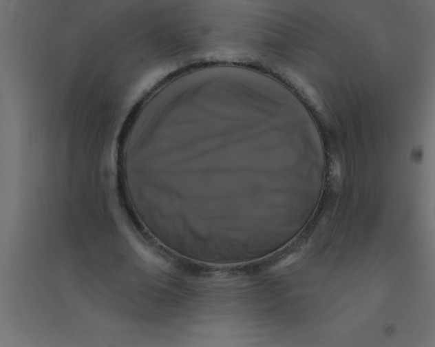 X0000094350678200711241915