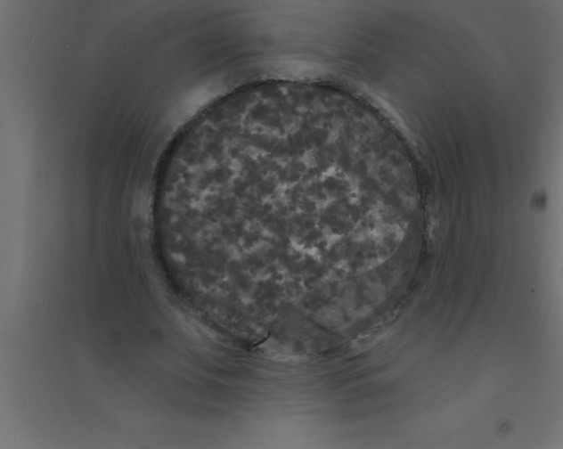 X0000094350679200711241915