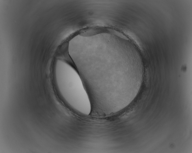 X0000094350680200711241915