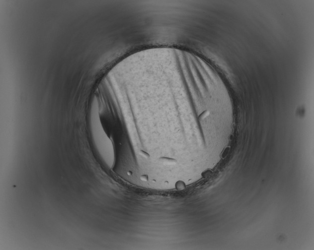 X0000094350681200711241915