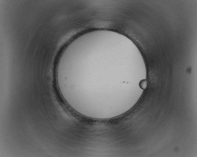 X0000094350682200711241915