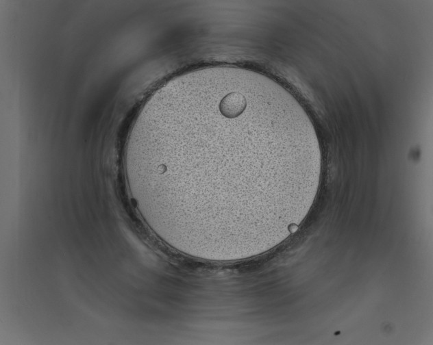 X0000094350683200711241915