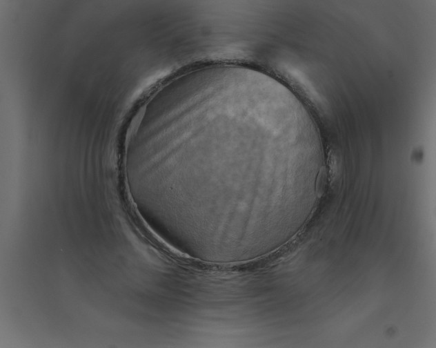 X0000094350684200711241915