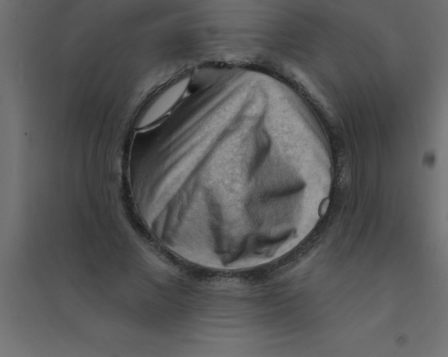 X0000094350685200711241915