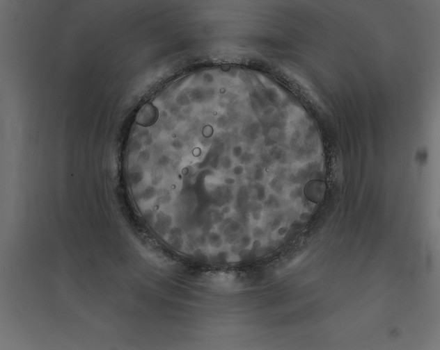 X0000094350687200711241915