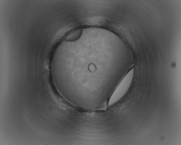 X0000094350688200711241915