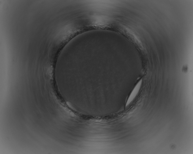 X0000094350689200711241915