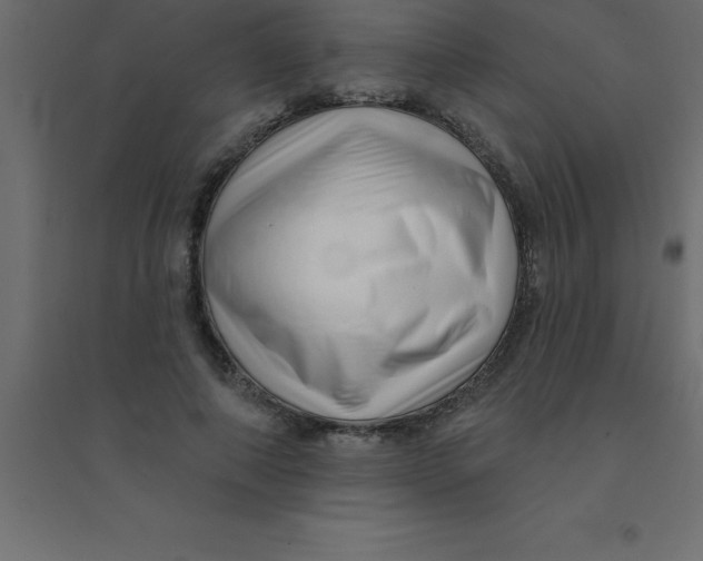 X0000094350690200711241915