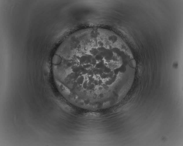 X0000094350691200711241915